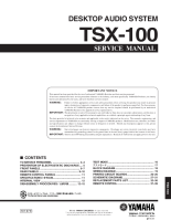 Yamaha TSX-100 - Service Manual